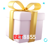 Receba seus bônus de boas-vindas no bet8855
