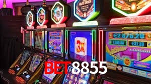 Estatísticas bet8855