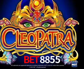 A Experiência Imersiva dos Cassinos Ao Vivo no bet8855