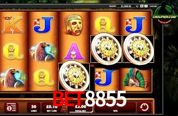 A Emoção da Loteria na bet8855: Uma Chance de Mudança de Vida